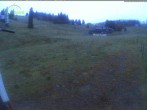Archived image Webcam Mountain hut Menzenschwand 03:00