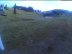 Archived image Webcam Mountain hut Menzenschwand 03:00