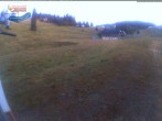 Archived image Webcam Mountain hut Menzenschwand 03:00