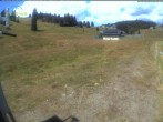 Archiv Foto Webcam Menzenschwander Hütte, Schwarzwald 11:00