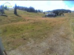 Archiv Foto Webcam Menzenschwander Hütte, Schwarzwald 15:00