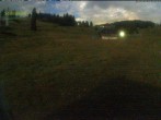 Archiv Foto Webcam Menzenschwander Hütte, Schwarzwald 01:00