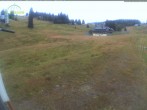Archived image Webcam Mountain hut Menzenschwand 07:00