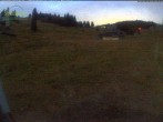 Archiv Foto Webcam Menzenschwander Hütte, Schwarzwald 03:00
