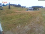Archiv Foto Webcam Menzenschwander Hütte, Schwarzwald 19:00