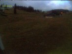 Archived image Webcam Mountain hut Menzenschwand 03:00