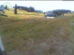 Archived image Webcam Mountain hut Menzenschwand 11:00