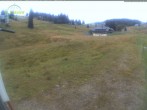 Archiv Foto Webcam Menzenschwander Hütte, Schwarzwald 11:00