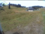 Archiv Foto Webcam Menzenschwander Hütte, Schwarzwald 11:00