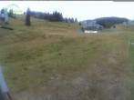 Archiv Foto Webcam Menzenschwander Hütte, Schwarzwald 15:00