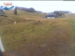 Archiv Foto Webcam Menzenschwander Hütte, Schwarzwald 19:00