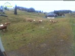 Archiv Foto Webcam Menzenschwander Hütte, Schwarzwald 09:00