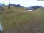 Archiv Foto Webcam Menzenschwander Hütte, Schwarzwald 07:00