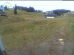 Archiv Foto Webcam Menzenschwander Hütte, Schwarzwald 11:00