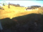 Archiv Foto Webcam Menzenschwander Hütte, Schwarzwald 07:00