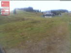 Archiv Foto Webcam Menzenschwander Hütte, Schwarzwald 14:00