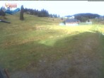 Archived image Webcam Mountain hut Menzenschwand 08:00