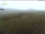 Archiv Foto Webcam Menzenschwander Hütte, Schwarzwald 11:00