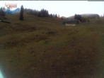 Archiv Foto Webcam Menzenschwander Hütte, Schwarzwald 01:00