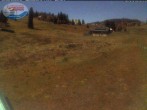 Archiv Foto Webcam Menzenschwander Hütte, Schwarzwald 03:00