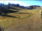 Archiv Foto Webcam Menzenschwander Hütte, Schwarzwald 15:00