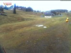 Archiv Foto Webcam Menzenschwander Hütte, Schwarzwald 09:00