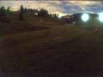 Archiv Foto Webcam Menzenschwander Hütte, Schwarzwald 19:00
