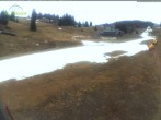 Archiv Foto Webcam Menzenschwander Hütte, Schwarzwald 09:00