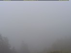 Archiv Foto Webcam Schwarzwald: St. Blasien 05:00