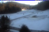 Archived image Webcam Holiday lodge Carola at Hinterzarten 13:00