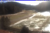 Archiv Foto Webcam Ferienhaus Carola in Hinterzarten 11:00