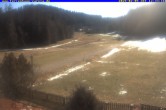 Archived image Webcam Holiday lodge Carola at Hinterzarten 11:00