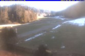 Archived image Webcam Holiday lodge Carola at Hinterzarten 13:00