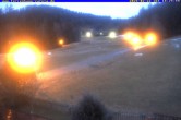 Archiv Foto Webcam Ferienhaus Carola in Hinterzarten 17:00