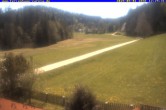Archiv Foto Webcam Ferienhaus Carola in Hinterzarten 11:00