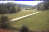 Archiv Foto Webcam Ferienhaus Carola in Hinterzarten 11:00