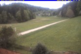 Archiv Foto Webcam Ferienhaus Carola in Hinterzarten 17:00