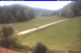 Archiv Foto Webcam Ferienhaus Carola in Hinterzarten 09:00
