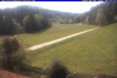 Archiv Foto Webcam Ferienhaus Carola in Hinterzarten 09:00