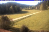Archiv Foto Webcam Ferienhaus Carola in Hinterzarten 07:00