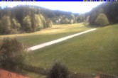 Archiv Foto Webcam Ferienhaus Carola in Hinterzarten 13:00