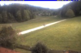 Archiv Foto Webcam Ferienhaus Carola in Hinterzarten 15:00