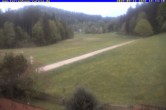 Archiv Foto Webcam Ferienhaus Carola in Hinterzarten 17:00