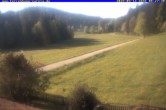 Archiv Foto Webcam Ferienhaus Carola in Hinterzarten 07:00