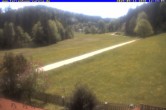 Archiv Foto Webcam Ferienhaus Carola in Hinterzarten 11:00