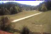 Archived image Webcam Holiday lodge Carola at Hinterzarten 11:00