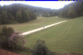Archiv Foto Webcam Ferienhaus Carola in Hinterzarten 17:00