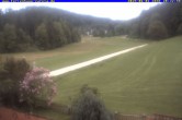 Archiv Foto Webcam Ferienhaus Carola in Hinterzarten 19:00