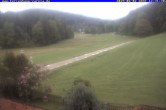 Archived image Webcam Holiday lodge Carola at Hinterzarten 11:00