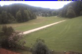 Archiv Foto Webcam Ferienhaus Carola in Hinterzarten 11:00
